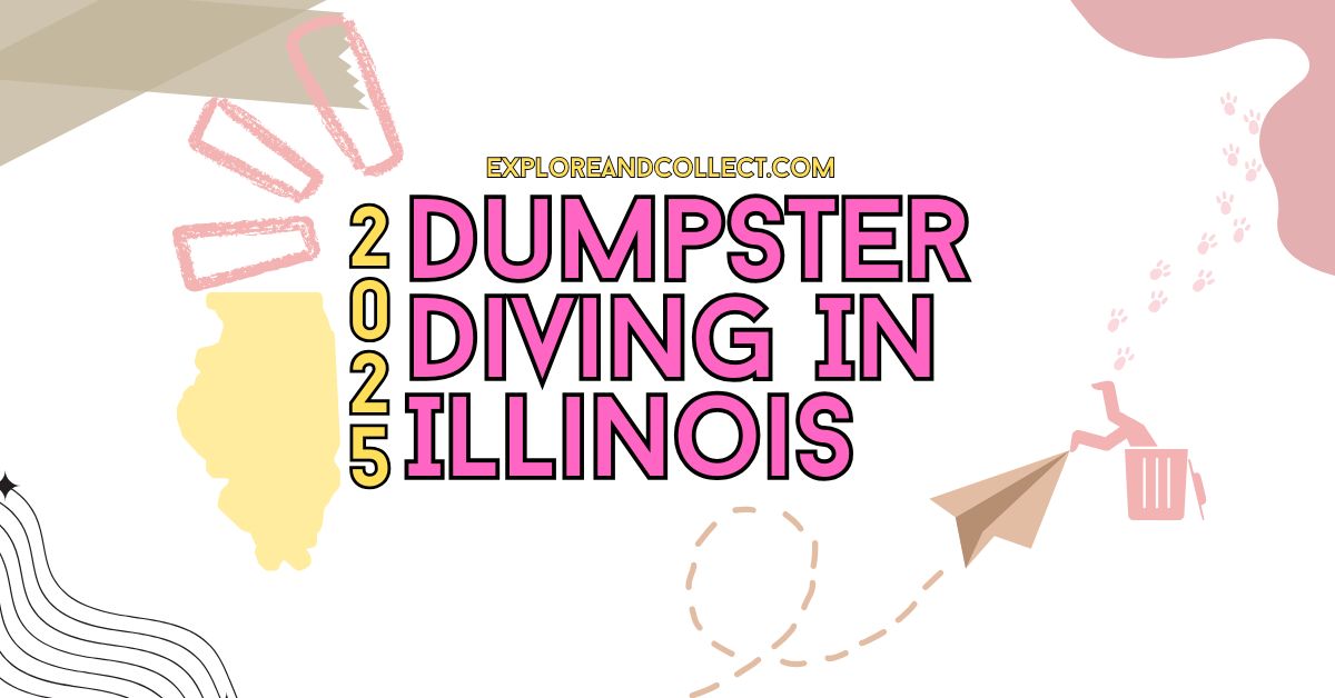 Dumpster Diving in Illinois - Explore And Collect